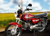 2010 Hero Honda CD-Dawn 100 photo